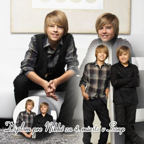 DIPLOM PRE N.jpg